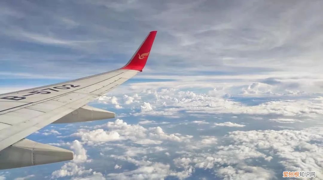 737飞机选座图解 737飞机座位分布图