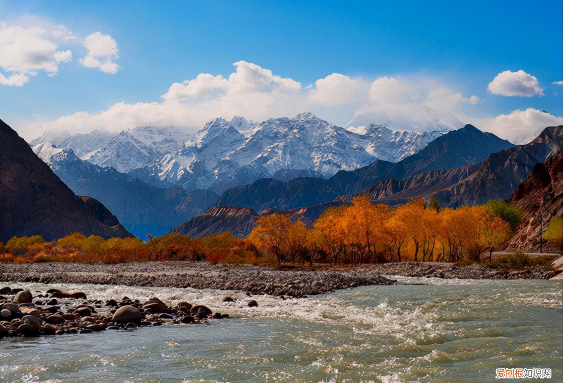 昆仑山螳螂人是真的吗? 昆仑山螳螂人事件
