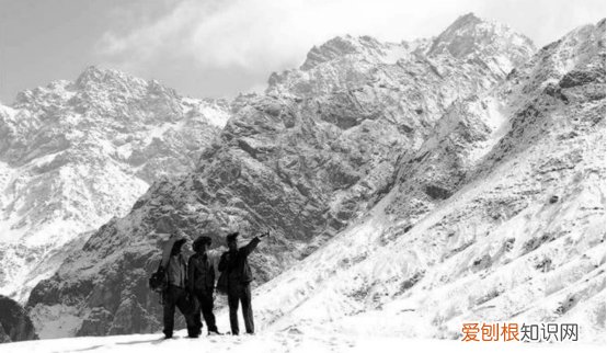 昆仑山螳螂人是真的吗? 昆仑山螳螂人事件