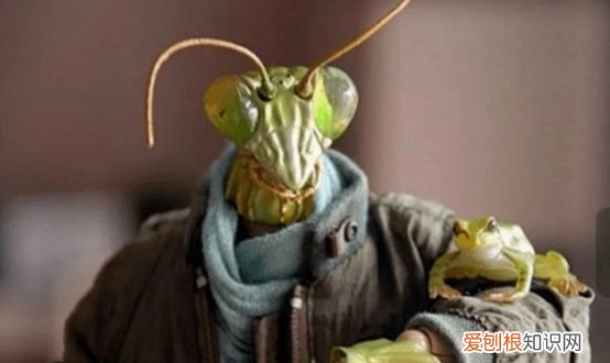 昆仑山螳螂人是真的吗? 昆仑山螳螂人事件