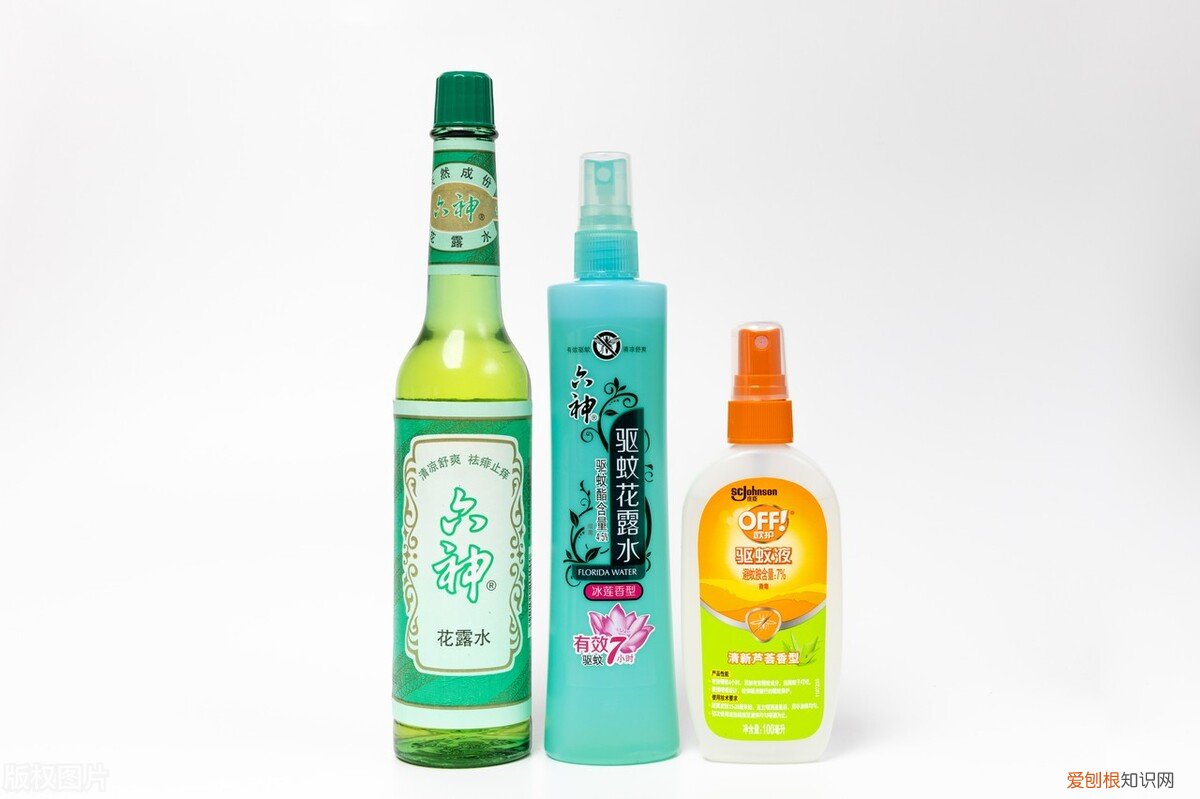 跳蚤怎么彻底消灭？这几个方法一定要收藏