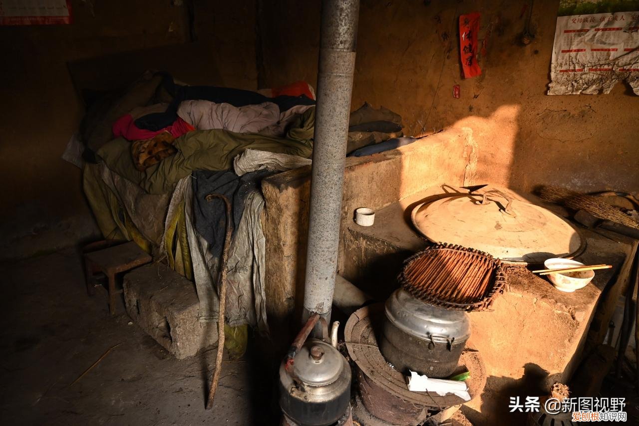 长寿的秘诀是什么?12岁奶奶,63岁儿子透露3个长寿原因