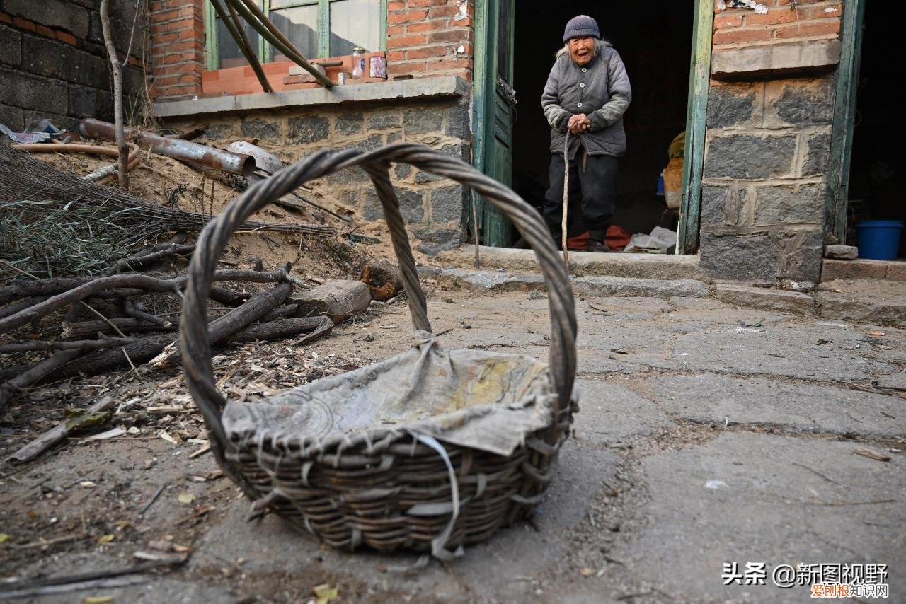 长寿的秘诀是什么?12岁奶奶,63岁儿子透露3个长寿原因