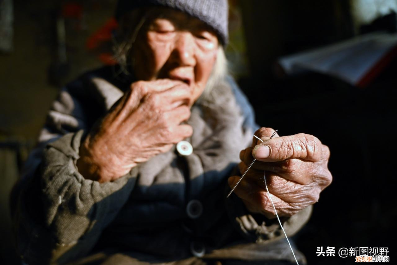 长寿的秘诀是什么？12岁奶奶，63岁儿子透露3个长寿原因