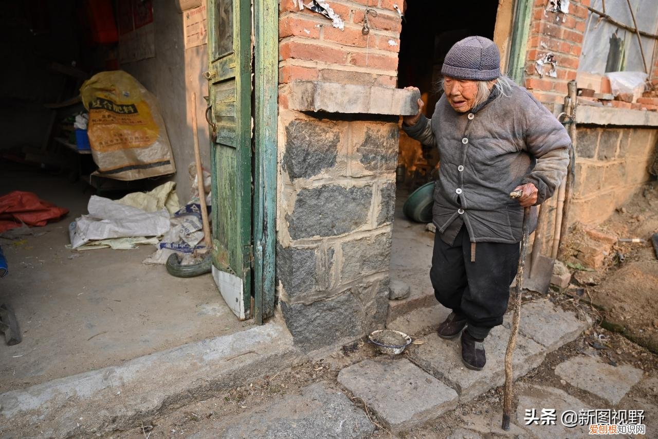 长寿的秘诀是什么?12岁奶奶,63岁儿子透露3个长寿原因