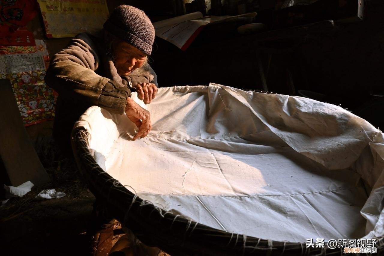 长寿的秘诀是什么？12岁奶奶，63岁儿子透露3个长寿原因