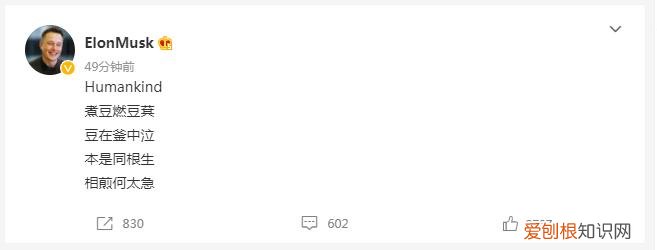 马斯克有中国血统吗?直言永远感谢中国