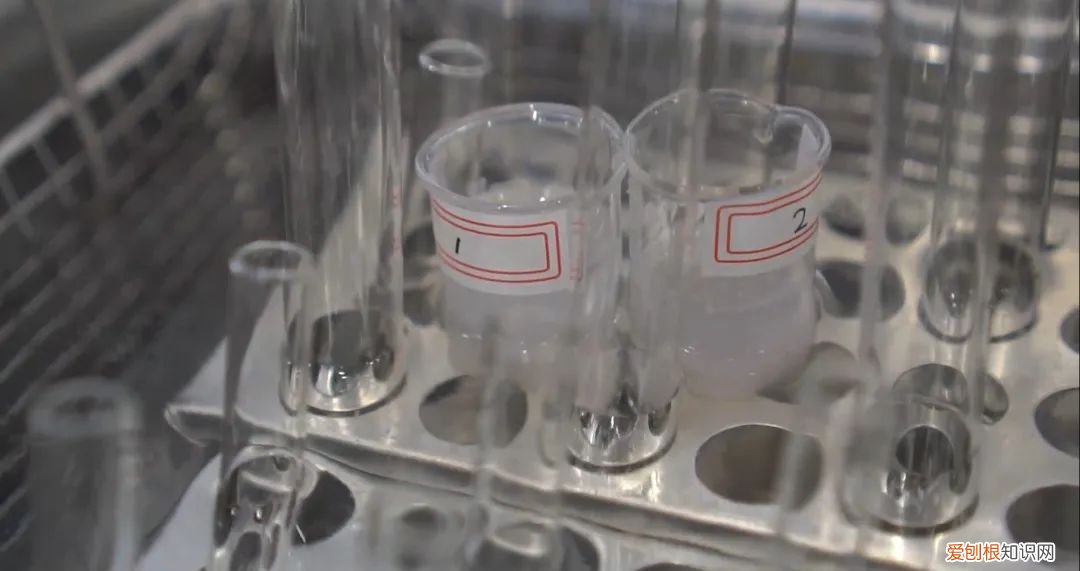 得物app假货泛滥 京东和得物哪个保真化妆品