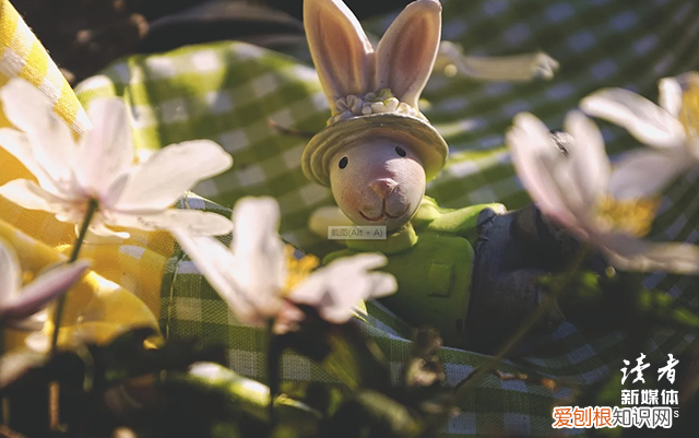 关于爱的优美句子