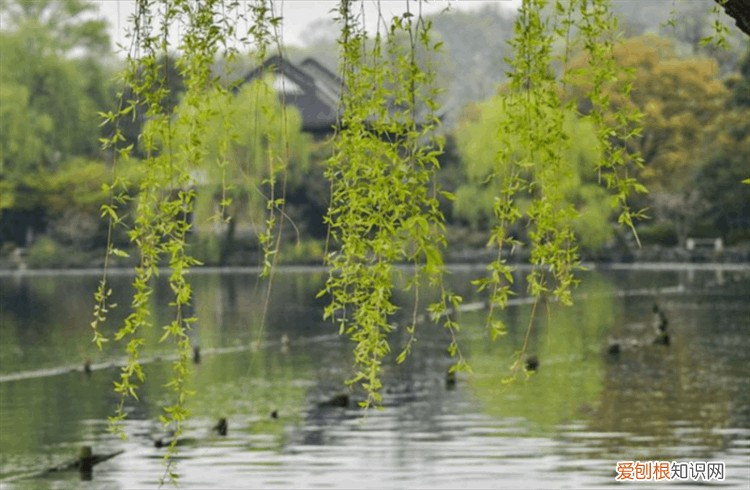 教育类标语 保护水资源的标语有哪些