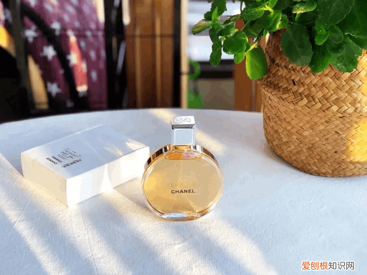 香奈儿香水合集 香奈儿香水系列介绍