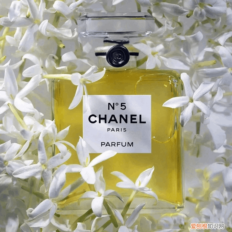 香奈儿香水合集 香奈儿香水系列介绍