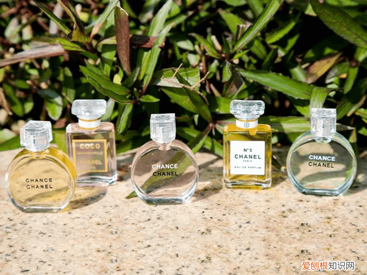 香奈儿香水合集 香奈儿香水系列介绍