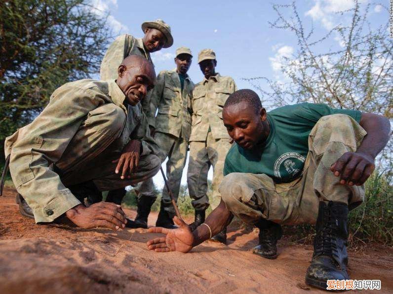 为何黑人身体最强壮呢? 为什么黑人的那么长那么壮