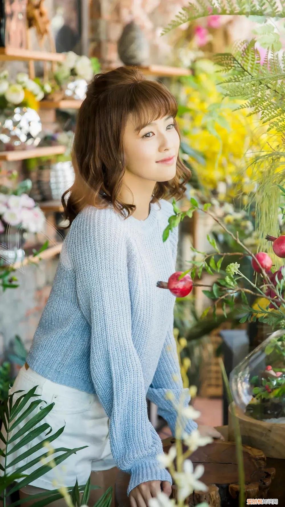 15部白鹿出演过的电视剧推荐 白鹿演过什么电视剧