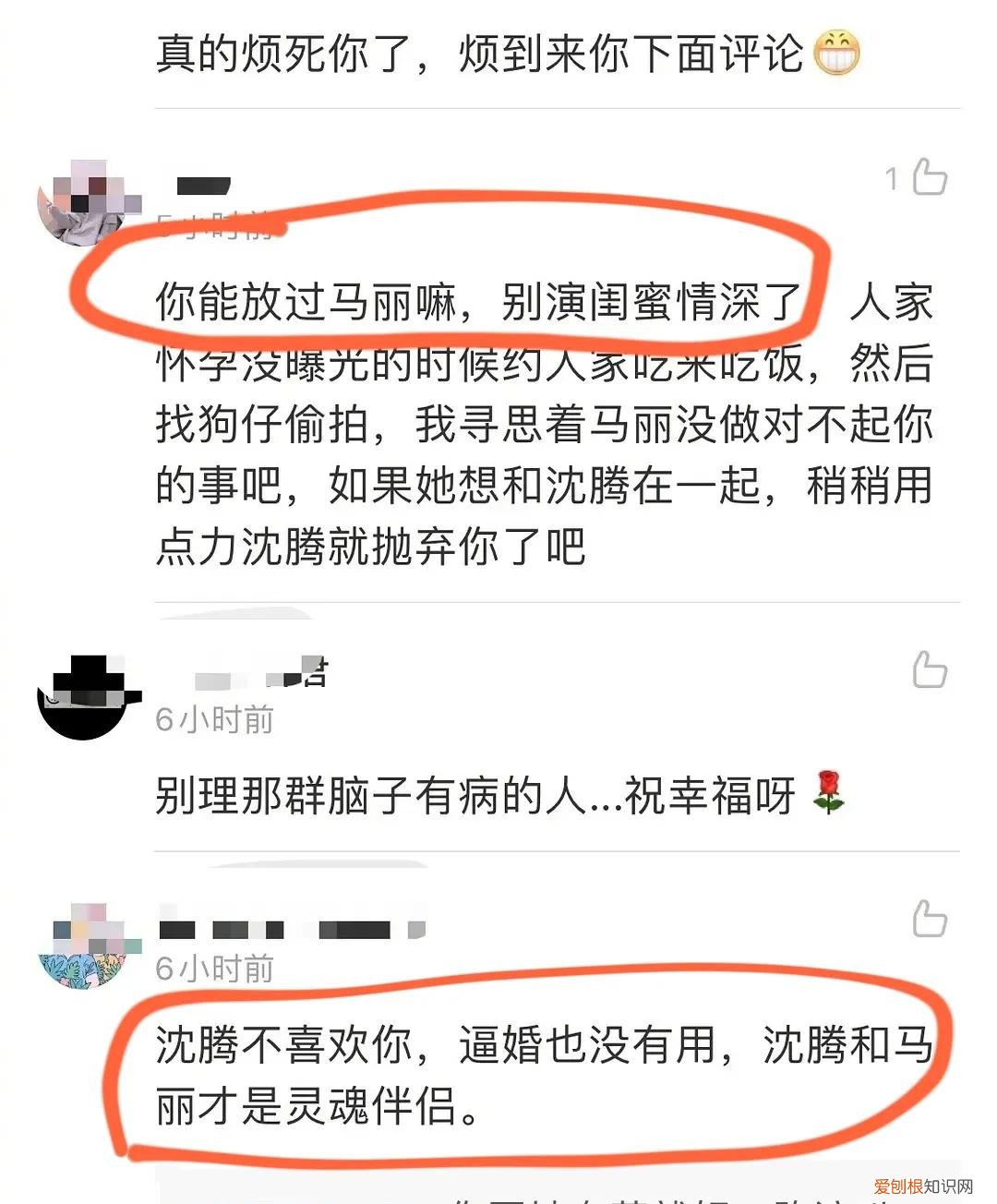 沈腾老婆王琦被网友语言暴力 沈腾的妻子是谁
