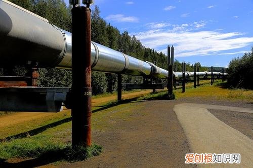 阿拉斯加州是美国从哪个国家买来的？1867年美国买下阿拉斯加