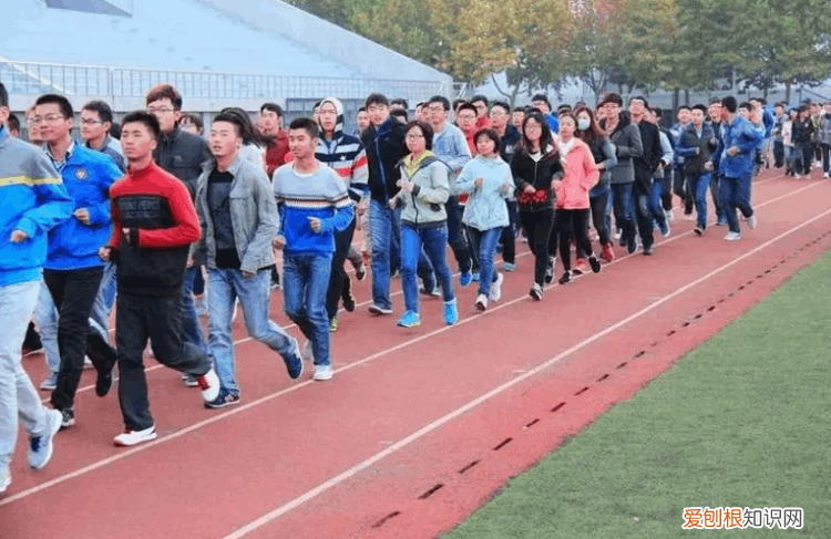 深职一骑绝尘排第1东三省高职并不出色 全国专科学校排名