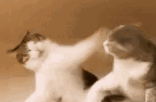 微笑狗的诅咒是真的吗？ 微笑狗图片原图恐怖事件