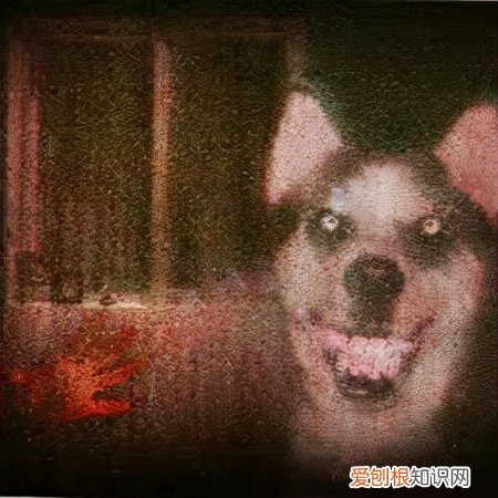 微笑狗的诅咒是真的吗？ 微笑狗图片原图恐怖事件