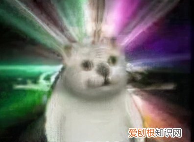 微笑狗的诅咒是真的吗？ 微笑狗图片原图恐怖事件