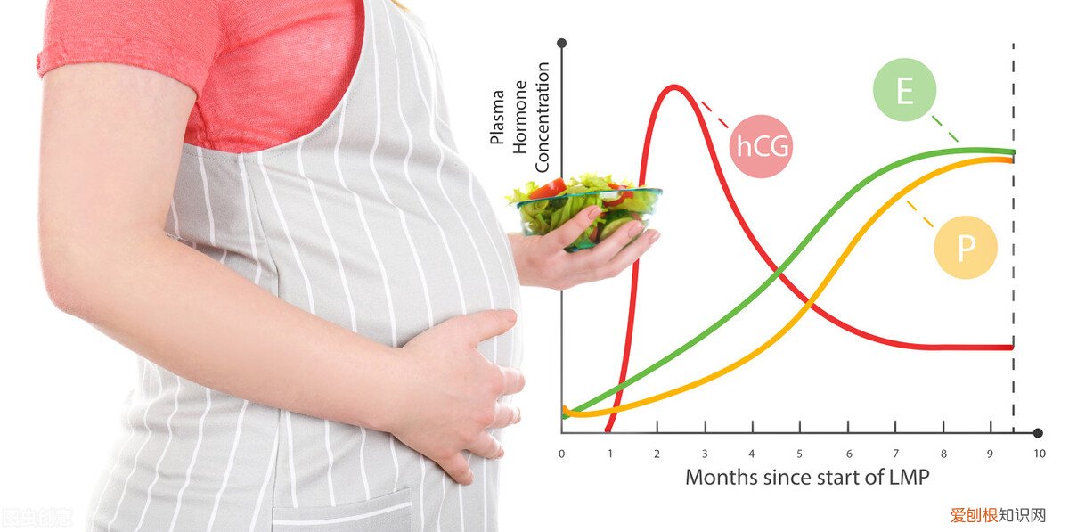 几时查血HCG比较好? 千万不要太早查hcg
