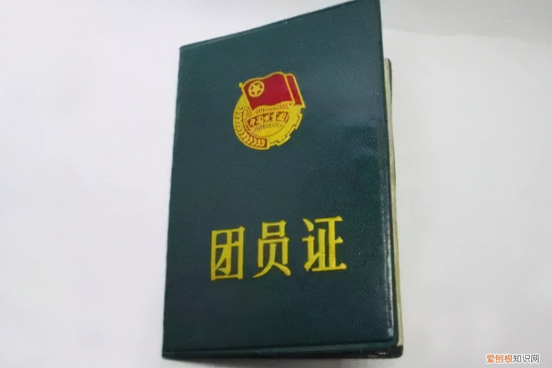 大学生入党申请书字精选优质推送 大学生入党申请书word文档