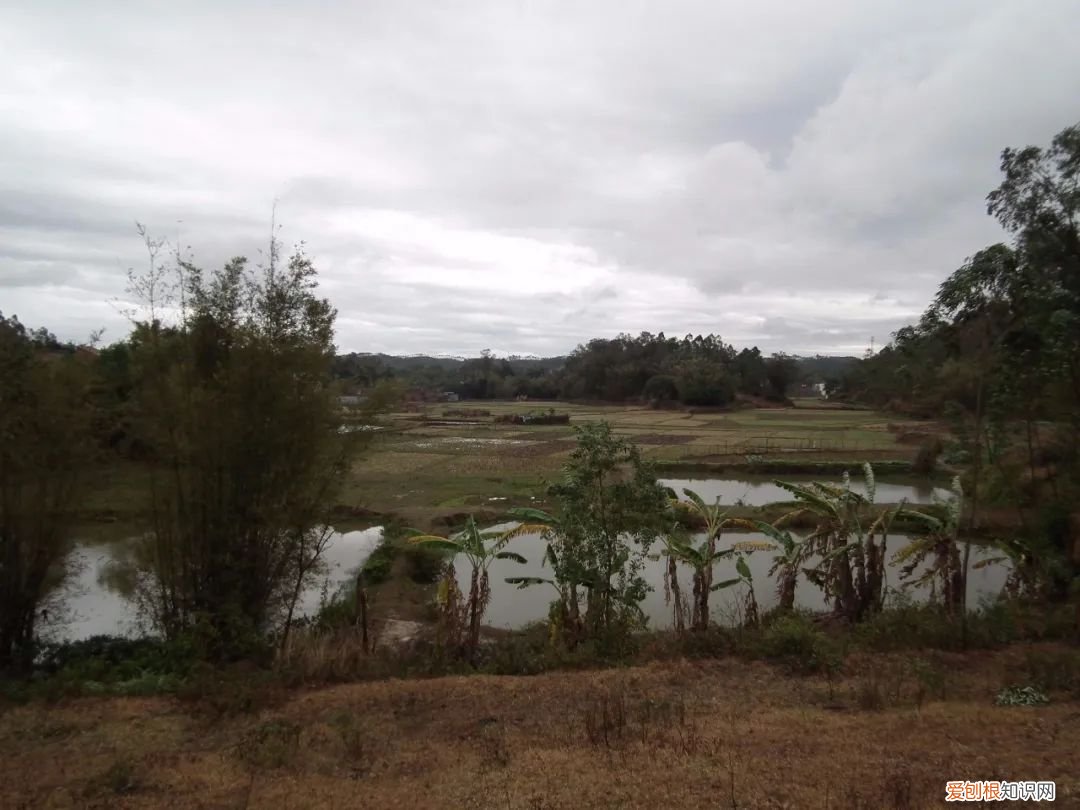 微信收藏怎么删除？微信收藏批量删除的方法