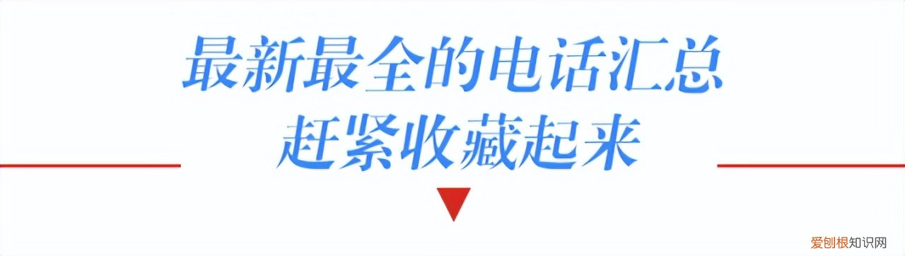深圳龙岗基础教育科 龙岗区教育基础科