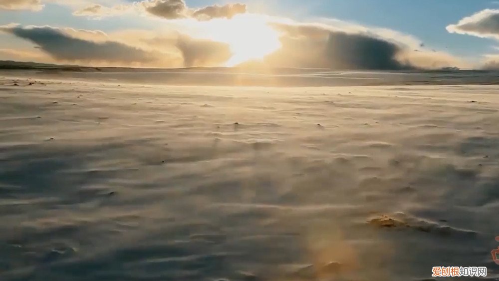 可可西里无人区在哪里？位于西藏羌塘与青海玉树交界处