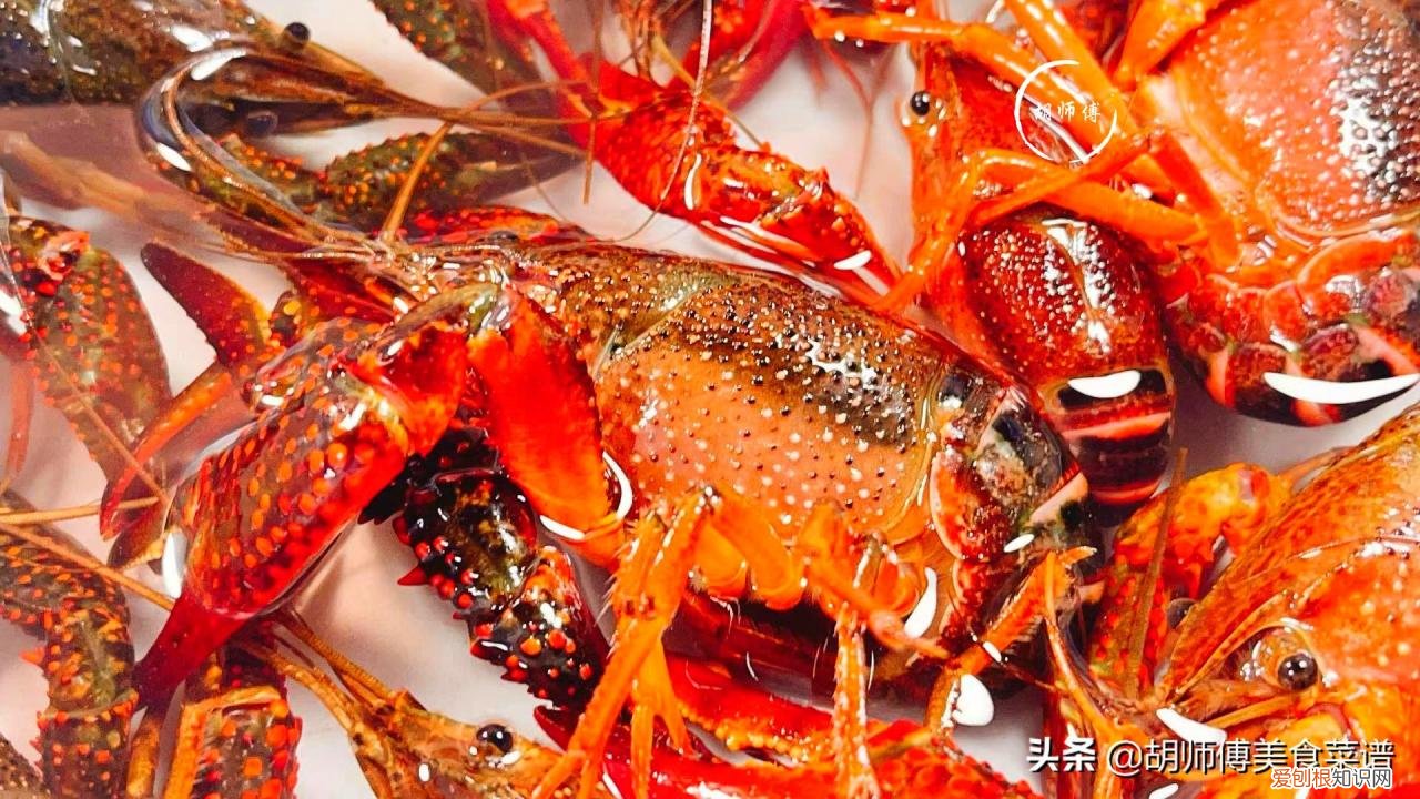 如何清洗龙虾 如何清洗龙虾