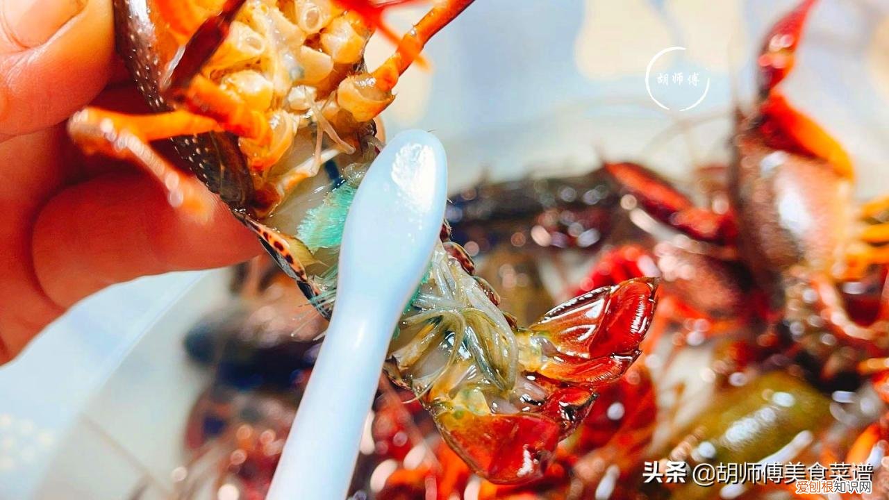 如何清洗龙虾 如何清洗龙虾