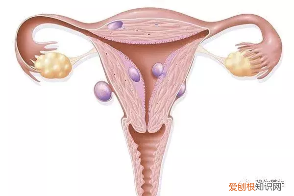 白色豆腐渣分泌物照片 豆渣样分泌物无异味