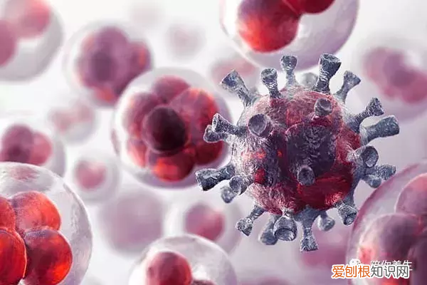 白色豆腐渣分泌物照片 豆渣样分泌物无异味