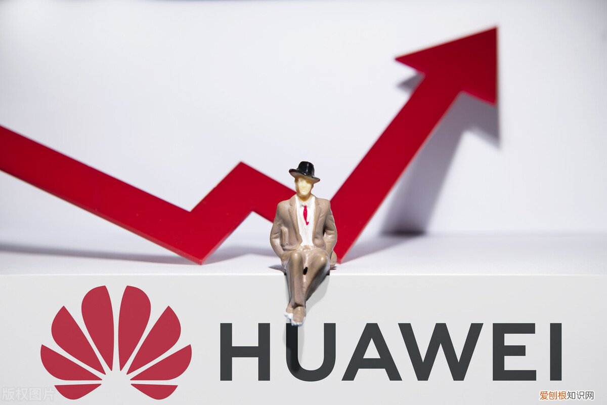 孙亚芳的婚史 孙亚芳为什么一直未婚