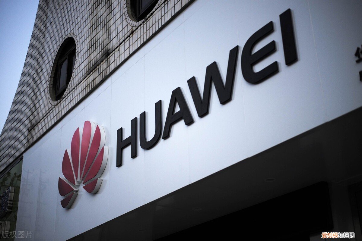 孙亚芳的婚史 孙亚芳为什么一直未婚