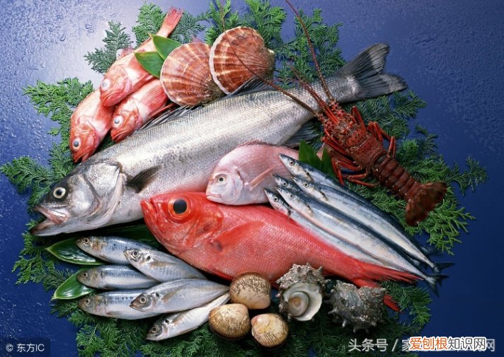 孕妇吃海鲜要注意什么 孕妇禁吃的海鲜
