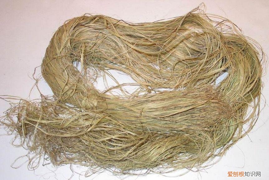 五谷具体是哪5种粮食 五谷杂粮是哪5种