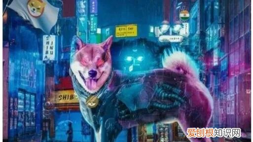 shib币未来前景能涨多少 shib币最新消息还能长不