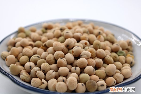 身体补蛋白质最快的方法 高蛋白食物有哪些