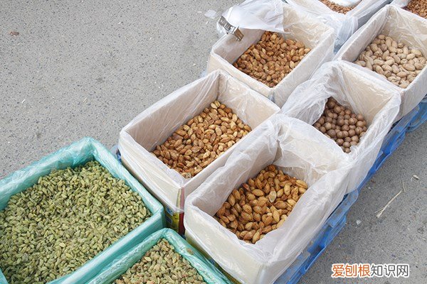 身体补蛋白质最快的方法 高蛋白食物有哪些