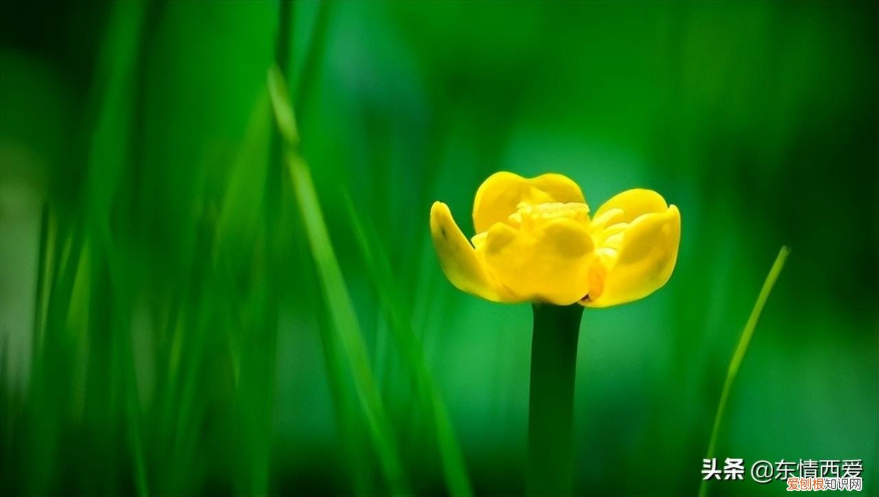 感觉很累很压抑 感觉很累很压抑，说说怎么写