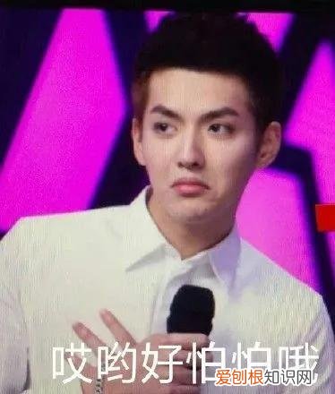 蒋佳恩现状2022 蒋佳恩事件始末