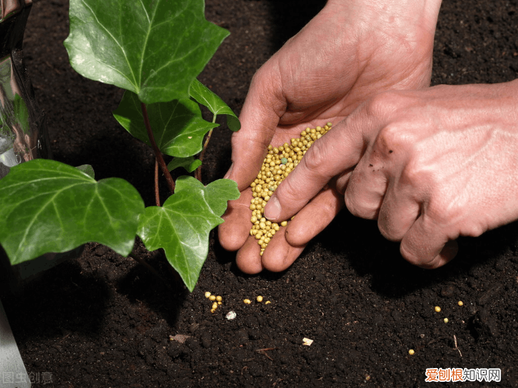 眼睛干涩与肝脏有关系吗 眼睛干涩视力模糊怎么解决