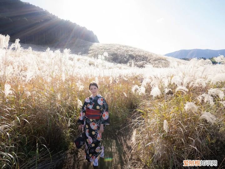 2022年度黑马的演员 木下凛凛子