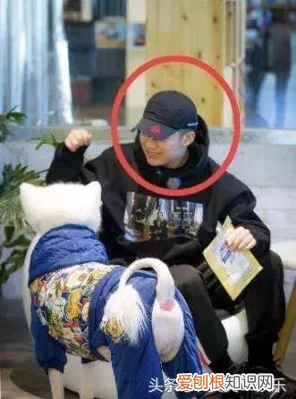 李小璐pgone事件 李小璐出轨的对象是谁