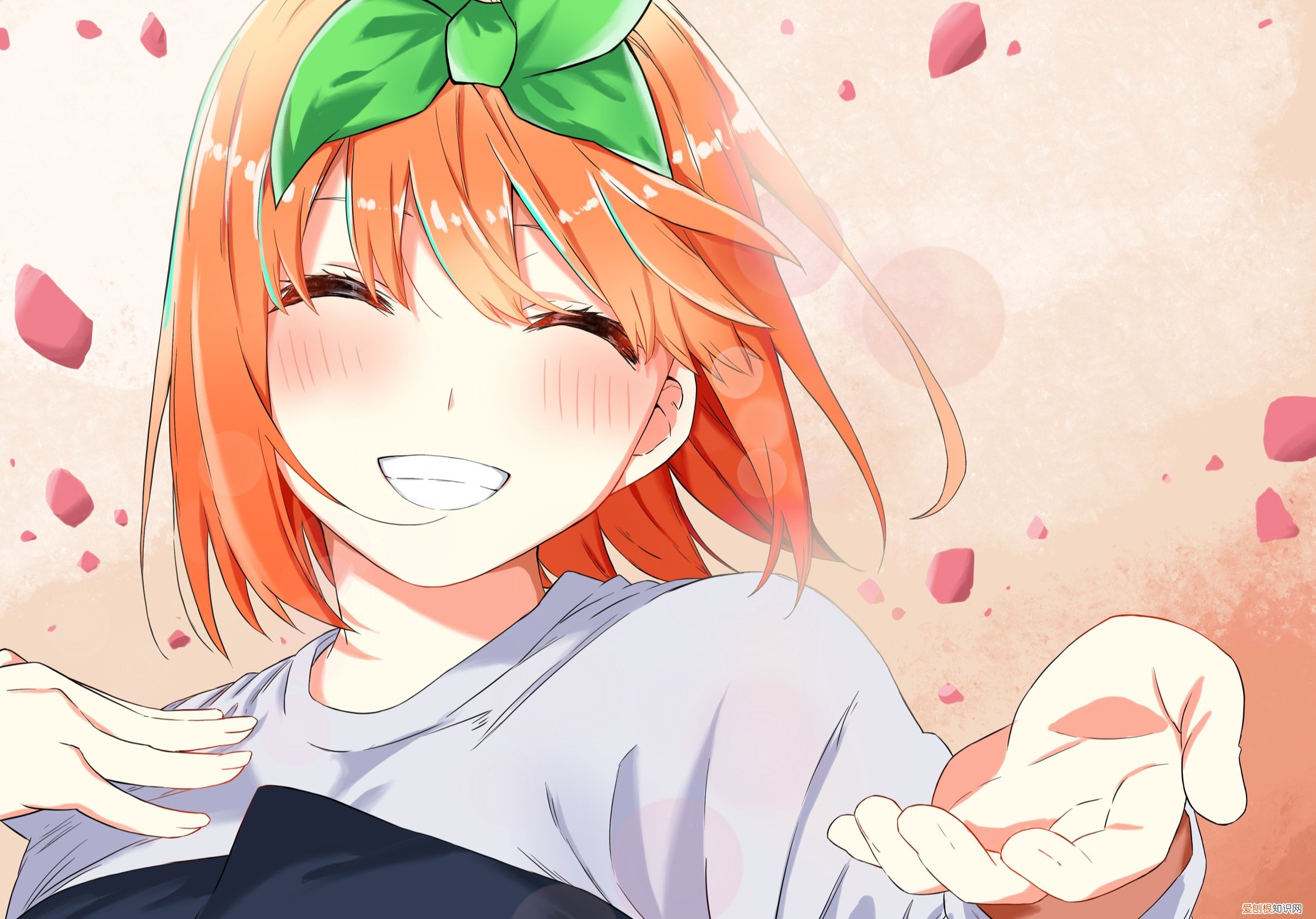 结局让人意外 五等分的花嫁结局娶了谁