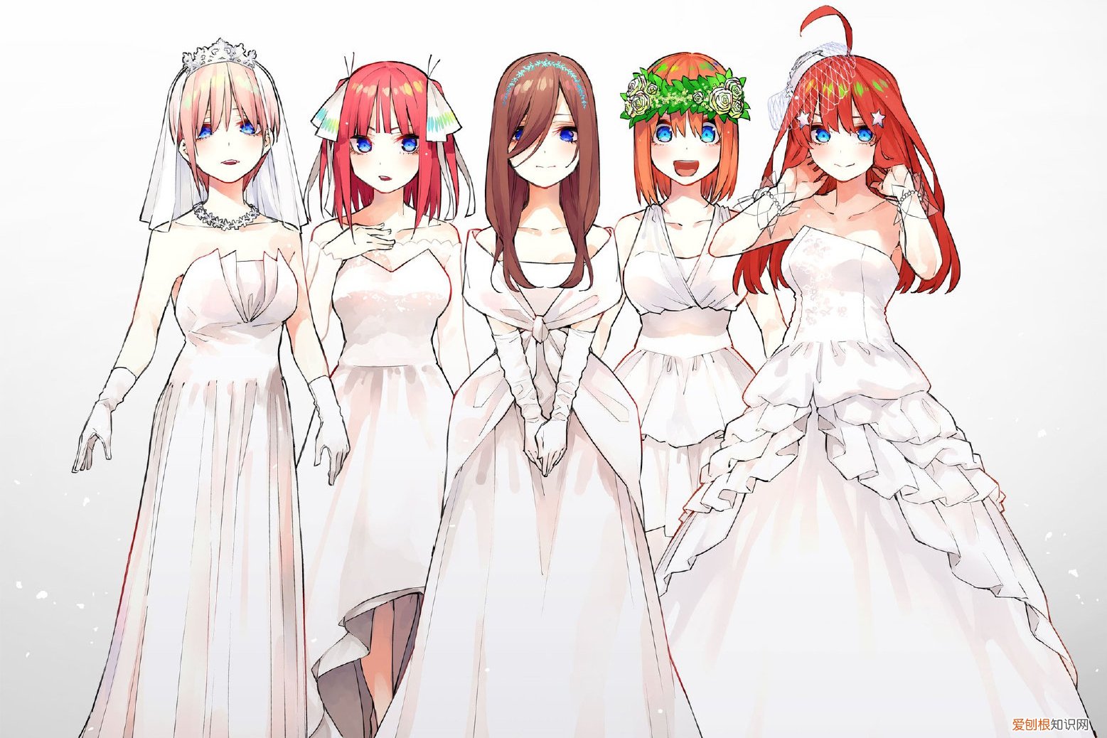 结局让人意外 五等分的花嫁结局娶了谁