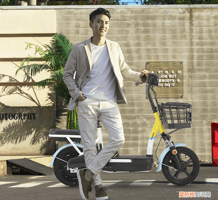 买雅迪还是买爱玛 爱玛电动车和雅迪电动车哪个好