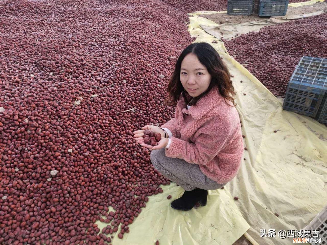 新疆灰枣的功效与作用